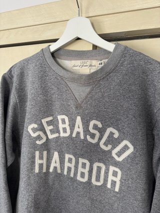 Sudadera H&M Gris con Estampado