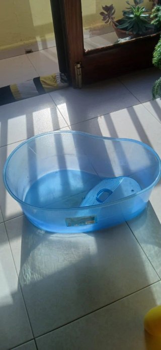 Pecera para tortugas