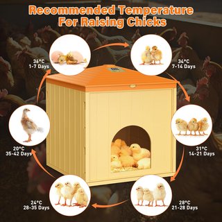 RSAOTY Calefacción Gallinero 360° 65W 10‑52°C