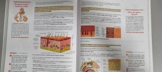 Biología y Geología 3º ESO. Libro del estudiant...