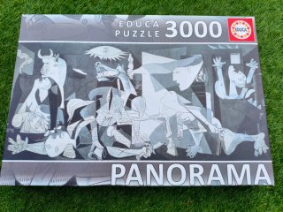 Puzzle Educa Panorama 3000 Piezas