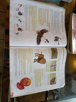 Biología y Geología. 1 Secundaria. Revuela. Com...