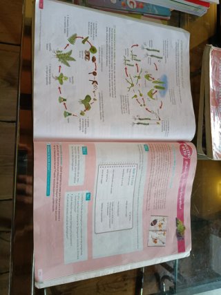 Biología y Geología. 1 Secundaria. Revuela. Com...