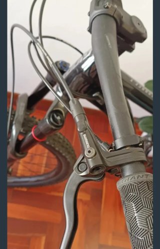 Bicicleta de Montaña