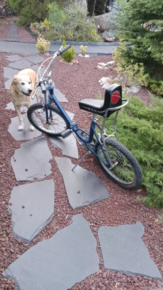 Bicicleta Vintage G.A.C. Azul