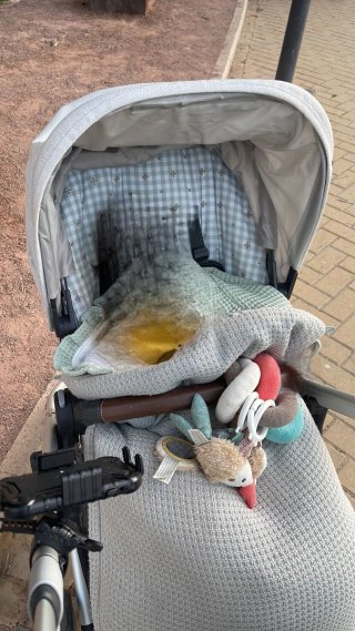 Silla de paseo UPPAbaby Cruz