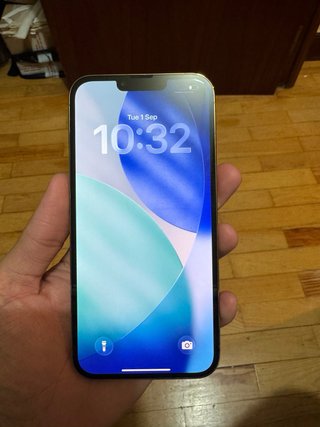 iPhone 13 Pro Max 256GB