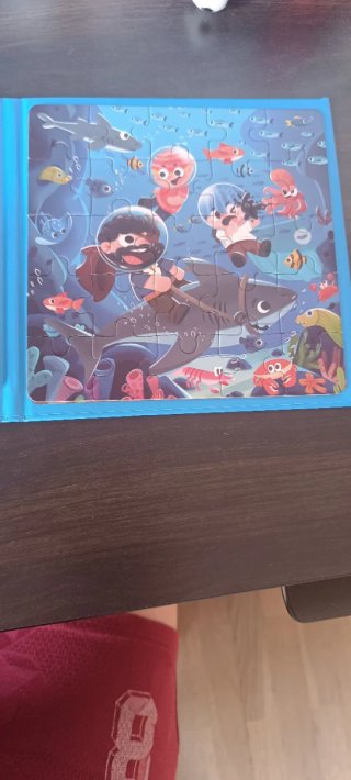 Puzzles Magnéticos 3 en 1
