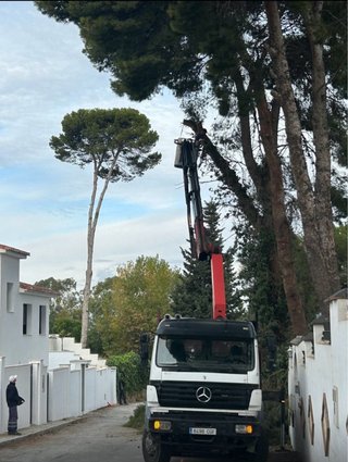 PODA, TALA PROFESIONAL Y DEMAS  – MÁLAGA