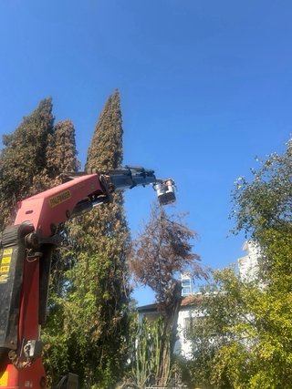 PODA, TALA PROFESIONAL Y DEMAS  – MÁLAGA