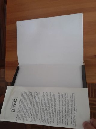 RAY SMITH · El Manual Del Artista