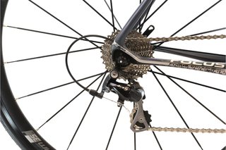 Bicicleta Focus Cayo EVO t.54 Reacondicionada