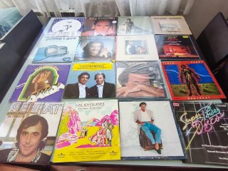 Colección Discos de Vinilo (Mecano, Battiato, etc.