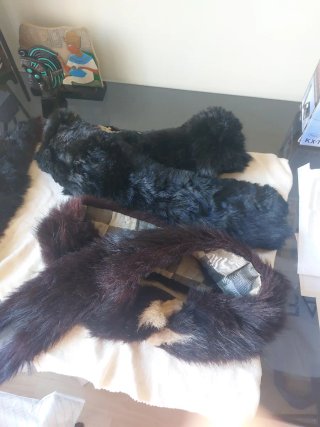 Cuellos de zorro y conejo