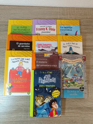 Lote 10 libros infantiles