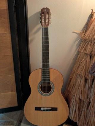 Guitarra Admira Alba