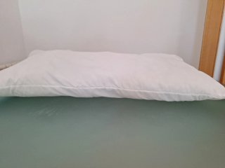 Almohada IKEA LAPPTÅTEL 40x75cm
