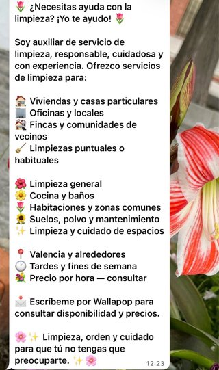 SERVICIO DE LIMPIEZA POR HORAS VALENCIA 673884024