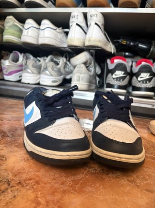 Nike Dunk Azul y Blanco