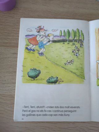 Cuidem les gallines