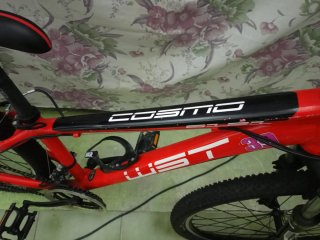 Bicicleta Wst Talla S Roja