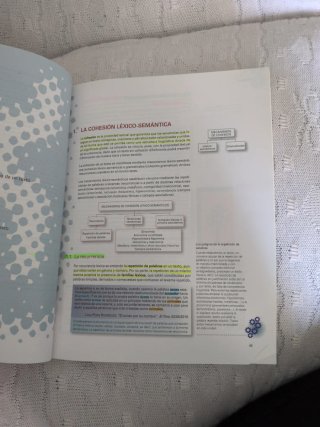 Lengua castellana y literatura, 2 Bachillerato