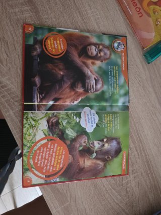 3 libros,el león,el ciervo y mis amigos los animal
