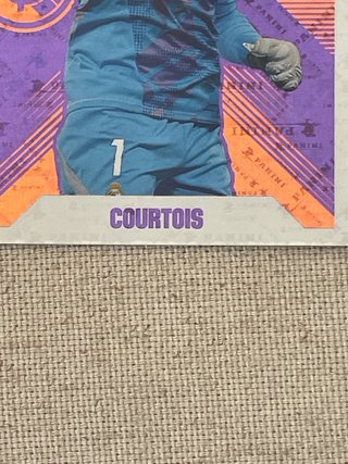 Panini Míster Cero Courtois LaLiga 25-26