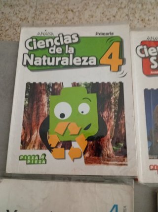 Libros de texto 4° primaria