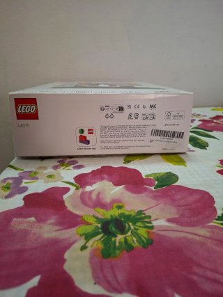 Set 2 in 1 Lego Leo Messi