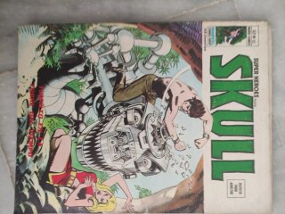 Marvel còmics  lote 13 comics