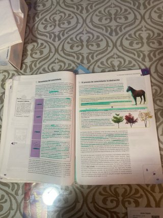 Filosofía 1, primer curso de bachillerato