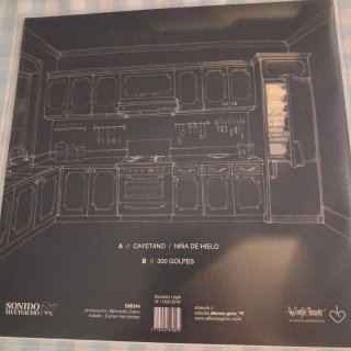 Vinilo Carolina Durante - Examiga