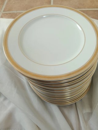 23 Platos Porcelana Bidasoa Vintage (filo de Oro)