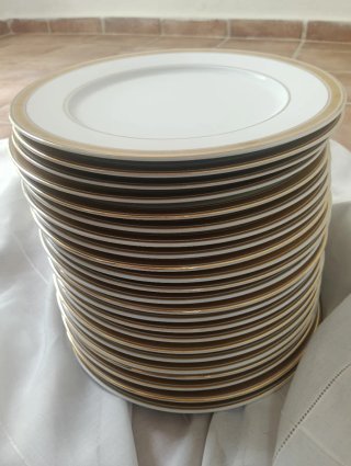 23 Platos Porcelana Bidasoa Vintage (filo de Oro)