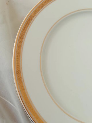 23 Platos Porcelana Bidasoa Vintage (filo de Oro)