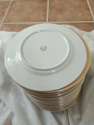 23 Platos Porcelana Bidasoa Vintage (filo de Oro)