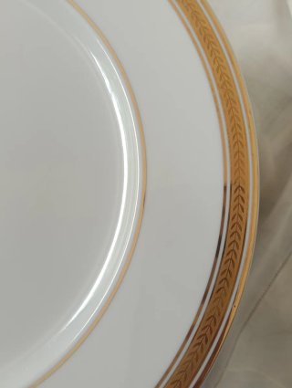 23 Platos Porcelana Bidasoa Vintage (filo de Oro)