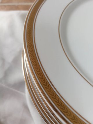 23 Platos Porcelana Bidasoa Vintage (filo de Oro)