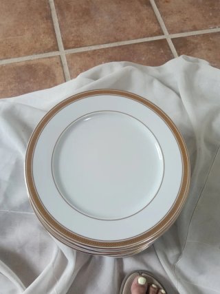 23 Platos Porcelana Bidasoa Vintage (filo de Oro)