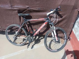 Bicicleta de montaña RX