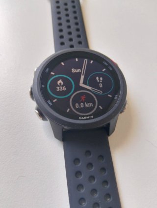 Garmin Forerunner 245