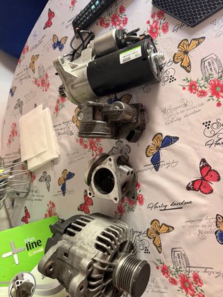 Alternador, Motor de Arranque y Válvula EGR