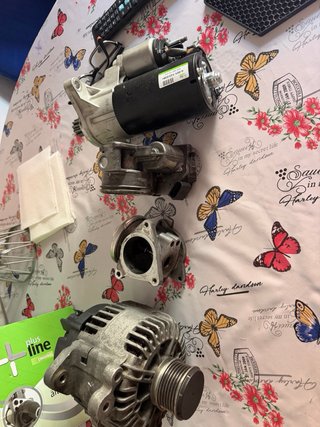 Alternador, Motor de Arranque y Válvula EGR