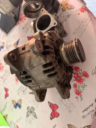 Alternador, Motor de Arranque y Válvula EGR