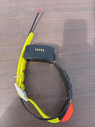 Collar garmin T5