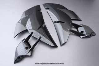 Oferta especial Carenado KAWASAKI NINJA H2 1000 16