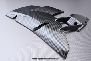 Oferta especial Carenado KAWASAKI NINJA H2 1000 16