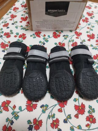 Botas Perro Amazon Basics Negras Talla 2