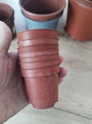 Lote de macetas de plástico